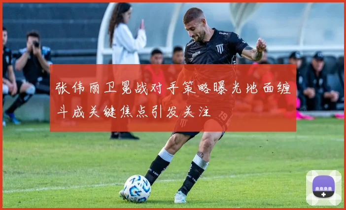 张伟丽卫冕战对手策略曝光地面缠斗成关键焦点引发关注
